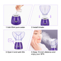 Пароход для лица Nano Ionic Hot Mist Humidifier Atomizer